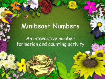 Minibeast Numbers