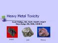 Heavy Metal Toxicity PowerPoint PPT Presentation