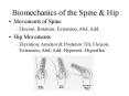 Biomechanics of the Spine PowerPoint PPT Presentation