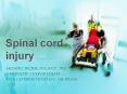 Spinal cord injury PowerPoint PPT Presentation
