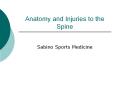 Anatomy and Injuries to the Spine PowerPoint PPT Presentation