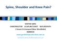 Spine, Shoulder and Knee Pain? PowerPoint PPT Presentation