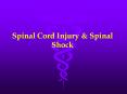 Spinal Cord Injury & Spinal Shock PowerPoint PPT Presentation