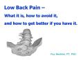 Low Back Pain   What it is, how to avoid it, and how to get PowerPoint PPT Presentation