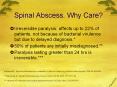 Spinal Abscess. Why Care? PowerPoint PPT Presentation