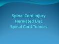 Spinal Cord Injury Herniated Disc Spinal Cord Tumors PowerPoint PPT Presentation