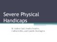 Severe Physical Handicaps PowerPoint PPT Presentation