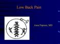 Low Back Pain PowerPoint PPT Presentation