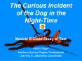 The Curious Incident of the Dog in the Night-Time PowerPoint PPT Presentation