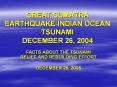 GREAT SUMATRA EARTHQUAKE-INDIAN OCEAN TSUNAMI DECEMBER 26, 2004 PowerPoint PPT Presentation