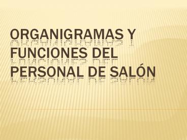 ORGANIGRAMAS Y FUNCIONES DEL  PERSONAL de salуn