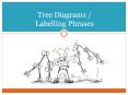 Tree Diagrams / Labelling Phrases PowerPoint PPT Presentation