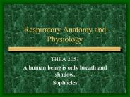 Respiratory Anatomy and Physiology