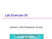 Lab Exercise 36