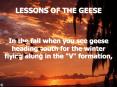 LESSONS OF THE GEESE PowerPoint PPT Presentation