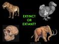 EXTINCT OR EXTANT? PowerPoint PPT Presentation