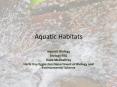 Aquatic Habitats PowerPoint PPT Presentation