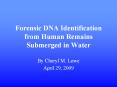 Forensic DNA Identification from Human Remains Submerged in Water PowerPoint PPT Presentation