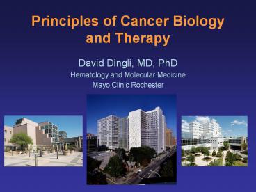 Principles of Cancer Biology and Therapy