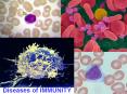 Diseases of IMMUNITY PowerPoint PPT Presentation