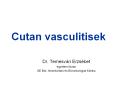 Cutan vasculitisek Dr. Temesv ri Erzs bet egyetemi tan r SE PowerPoint PPT Presentation