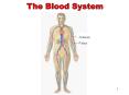 The Blood System PowerPoint PPT Presentation