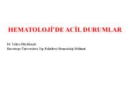 PowerPoint Sunusu