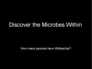 Agarose Gel Electrophoresis