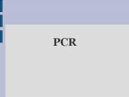 PCR