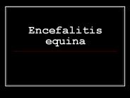 Encefalitis equina