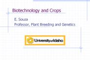 Biotechnology and Crops