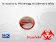 Biosafety * * * * * * * * * * Microorganisms can be PowerPoint PPT Presentation