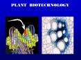 Lecture 2:  Applications of Tissue Culture to Plant Improvement PowerPoint PPT Presentation