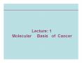Molecular   Basis  of Cancer PowerPoint PPT Presentation