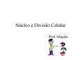 Nъcleo e Divisгo Celular PowerPoint PPT Presentation