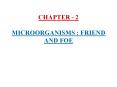 CHAPTER - 2 MICROORGANISMS : FRIEND AND FOE PowerPoint PPT Presentation