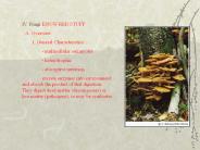 IV. Fungi KNOW RED STUFF