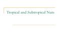 Tropical and Subtropical Nuts PowerPoint PPT Presentation