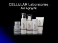 CELLULAR Laboratories Anti Aging Kit PowerPoint PPT Presentation