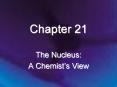 The Nucleus: PowerPoint PPT Presentation