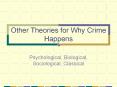 Other Theories for Why Crime Happens PowerPoint PPT Presentation