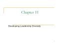 Developing Leadership Diversity PowerPoint PPT Presentation
