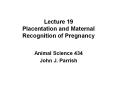Lecture 19 Placentation and Maternal Recognition of Pregnancy PowerPoint PPT Presentation