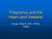 Pregnancy and the Heart (and Vessels)
