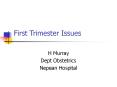 First Trimester Issues PowerPoint PPT Presentation