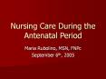 Nursing Care During the Antenatal Period PowerPoint PPT Presentation