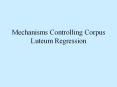 Mechanisms Controlling Corpus Luteum Regression PowerPoint PPT Presentation