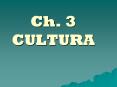 Ch. 3 CULTURA PowerPoint PPT Presentation