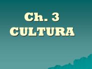Ch. 3 CULTURA