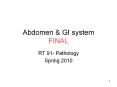 Abdomen PowerPoint PPT Presentation